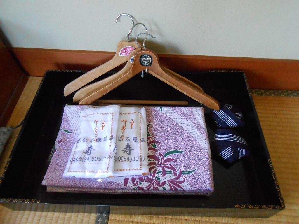 Ryokan Masuya Hakone Pokój zdjęcie